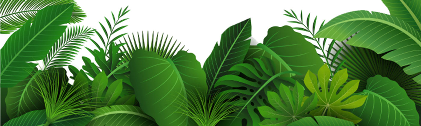 Landscaping Services