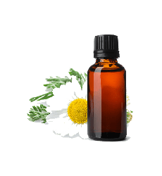Chamomile Pure Essential Oil