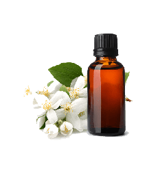 Jasmine Pure Essential Oil
