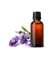 Lavender Pure Essential Oil