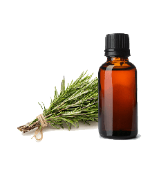 Rosemary Pure Essential Oil 