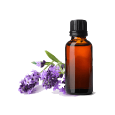 Lavender Pure Essential Oil
